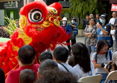 Oakland, CA - 24 Ağustos 2024: Cal VSA Aslan Dansçıları Oakland Çin Mahallesi 35. Sonbahar Sokak Festivali 'nde seyircilerle etkileşim halindeler. Özgür ve halka açık.