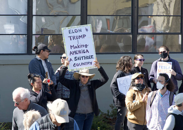 Berkeley, CA - March 1, 2025: Protestors hoding signs blocking traffic in front of a Tesla showroom. Denouncing Musk and calling for a boycott as a result of his recent actions on Capitol Hill.