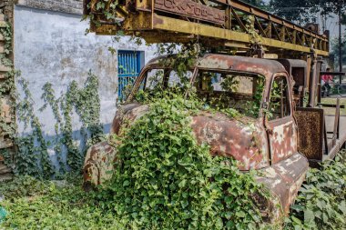 12 19 2014 Paslı Tilki Mobil Turnası üzerinde Vaishali Hayipur Bihar Hindistan otuyla kaplandı