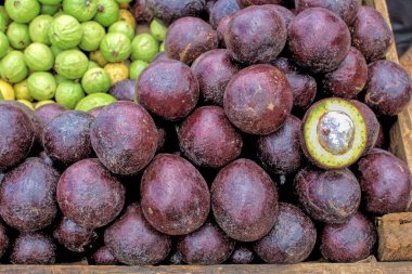  08 2007 Ripe purple star apple fruit is stacked for sale to consumers Nuwara Eliya hill Sri Lanka Asia.
