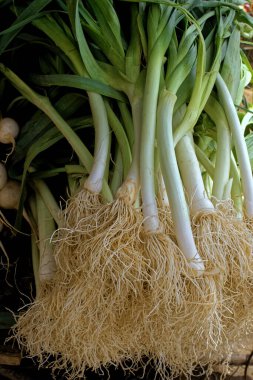 09 08 2007 Vegetables Spring Onion,Fresh Scallions Nuwara Eliya hill Sri Lanka Asia.