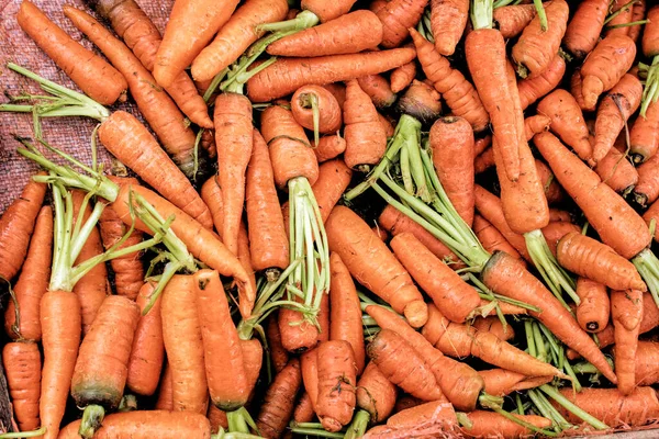2007有机胡萝卜在当地一个农贸市场上出售 斯里兰卡热带花园 — 图库照片