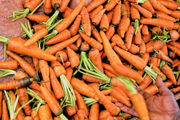 2007 Organic Carrots Sale Local Farmer Market Tropical Garden Sri — Stok fotoğraf