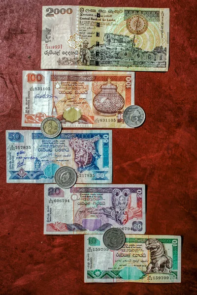 2007 Sri Lanki Dziesięć Dwadzieścia Pięćdziesiąt Sto Dwa Tysiące Monety — Zdjęcie stockowe