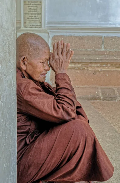 2007 Пожилой Бхикхуни Буддийская Монахиня Исторического Священного Дерева Саду Махамевуна — стоковое фото