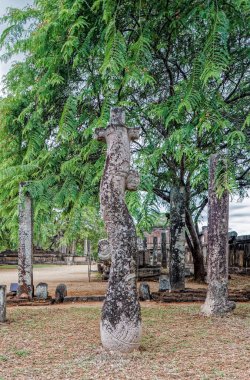 09 11 2007 Orta Sri Lanka Asya 'nın Polonnarawu kentindeki bir Budist manastırının kalan sütunları.