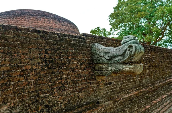 2007年11月9日至11日 位于斯里兰卡Polonnaruwa的教科文组织12世纪世界遗产所在地Alahana Parivena创造性的傻瓜形象 — 图库照片