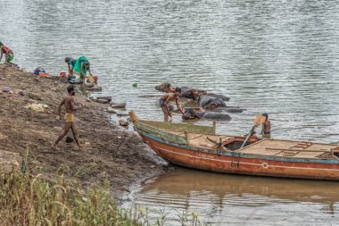 06 12 2017 Bufalo Bekçisi Buffalolarını Narsobawadi Bölgesi Kolhapur Maharashtra Hindistan 'da Krishna Nehri' nde yıkıyor..