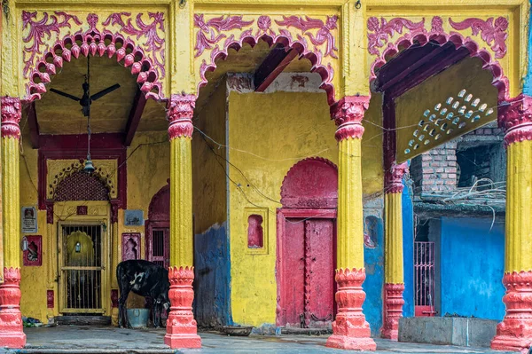 stock image 12 20 2014 a cute little black calf tide near Brightly Painted Krishna Temple Old Part of Gaya Bihar India.Asia.