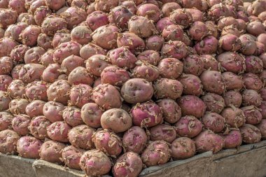 12 22 22 2014 Sasaram Market Bihar Hindistan Asya 'da Sebze Pembe Patates.