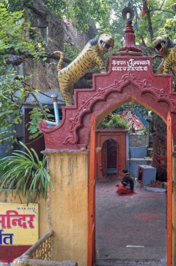 12. 20 2014 Vintage Mataji veya Devi Nilanchal Kamrukam Tapınağı Kompleksi Gaya Bihar Hindistan Asya