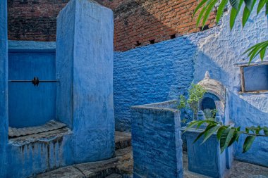 226 2014 Tulsi veya Kutsal Fesleğen bitkileri Krishna Tapınağı arka bahçesi Gaya Bihar Hindistan Asya 'daki su kuyusunun yanındaki çivit mavisi boyalı küçük bir tapınakta..
