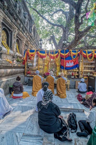 2014 Βουδιστές Μοναχοί Στο Mahabodhi Tree Unesci Παγκόσμια Κληρονομιά Bodh — Φωτογραφία Αρχείου