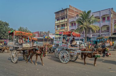 12 23 2014 At Arabası Tonga Otobüs Standı Etkinliği Silav Rajgir Yolu Bihar Hindistan Asya.