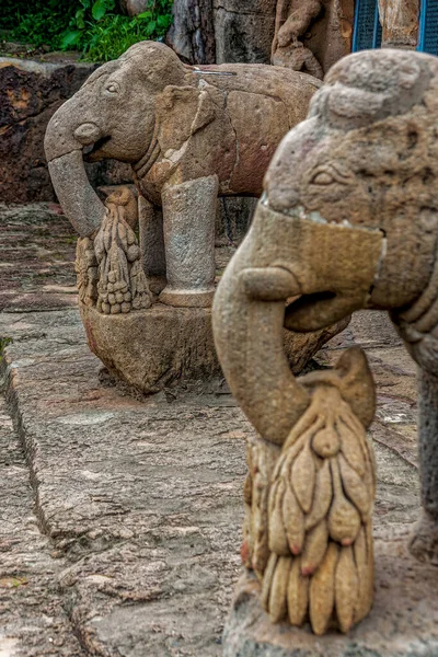 2007 Elephant Guarding Cave Ganesha Gumpha Udaygiri Caves Orissa India — Stock Photo, Image