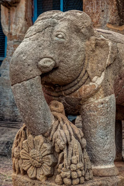 2007 Elefante Custodiando Cueva Ganesha Gumpha Udaygiri Cuevas Orissa India — Foto de Stock