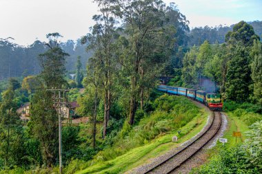 10 27 2009 Vintage Heritage UNESCO World Heritage Nilgiri Mountain Mettopalaiym to Ooty şimdi Westarn Ghat Tamil Nadu India Asia.10 27 2009 Vintage Heritage UNESCO World Heritage Nilgiri Mountain Mettopalaiym to Ooty n