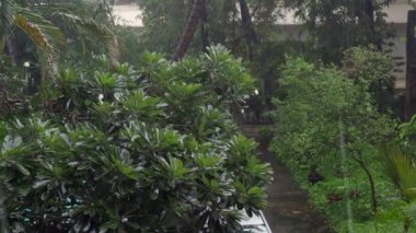 08 20 2022 Muson yağmuru Ghatkopar Bahçesinde Mumbai Maharashtra Hindistan Asya.