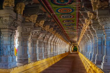 08 22 2009 Muhteşem koridorlar ve devasa heykel sütunları Tapınak Rameswaram Tamil Nadu Hindistan Asya