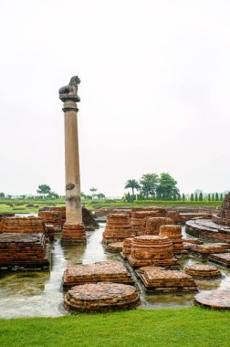 08 27 2008 Eski Stupa ve Pillar Ashoka 'nın anısına Vaishali, Bihar, Hindistan Asya' da..