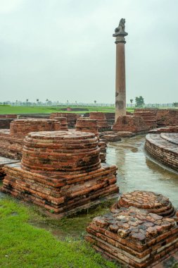 08 27 2008 Eski Stupa ve Pillar Ashoka 'nın anısına Vaishali, Bihar, Hindistan Asya' da..