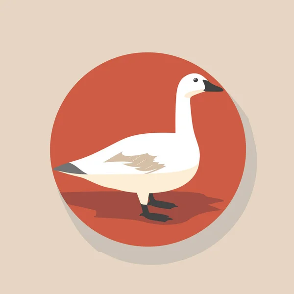 Pato Branco Frente Círculo Vermelho — Vetor de Stock