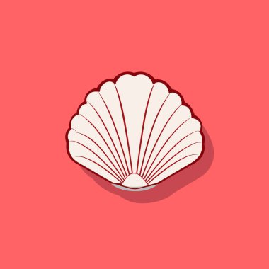 Pembe arka planda bir deniz tarağı kabuğu