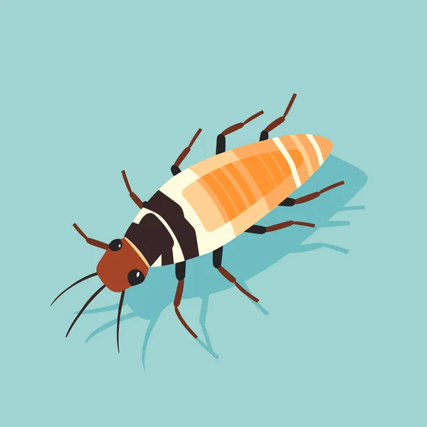 Hnědobílý Hmyz Modrém Pozadí — Stockový vektor