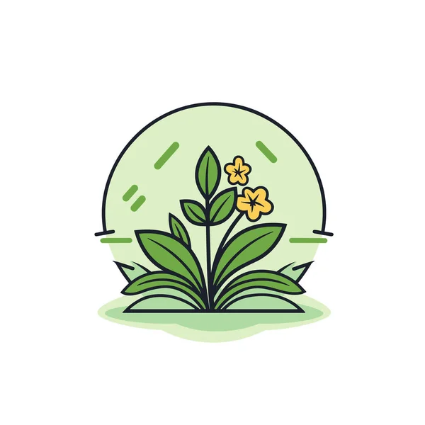 Eine Pflanze Mit Gelben Blüten Inmitten Eines Feldes — Stockvektor
