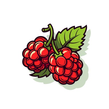 Beyaz arka planda yaprakları olan bir grup ahududu.