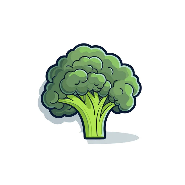 Green Broccoli Plant White Background — Stock Vector