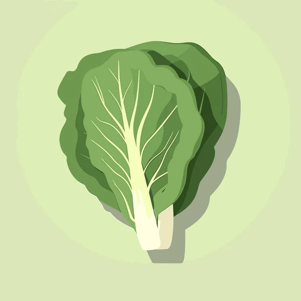 Légume Feuillu Vert Sur Fond Vert — Image vectorielle