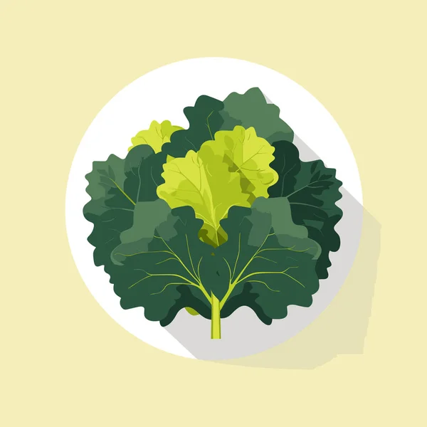 Grön Bladgrönsaker Vit Tallrik — Stock vektor