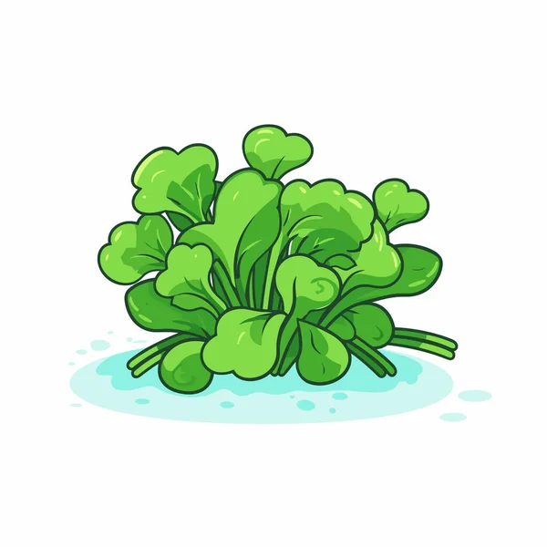 Bunch Green Leafy Plants Water — Stock Vector