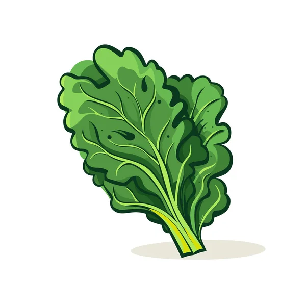 Ένα Πράσινο Φυλλώδες Λαχανικό Λευκό Φόντο — Διανυσματικό Αρχείο