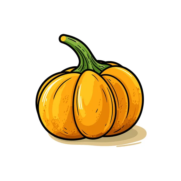 Drawing Pumpkin White Background — Stock Vector