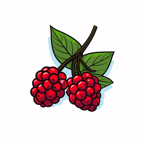 stock vector Raspberries with leaves on a white background