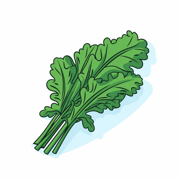 Bunch Green Leafy Vegetables White Background — Stock Vector