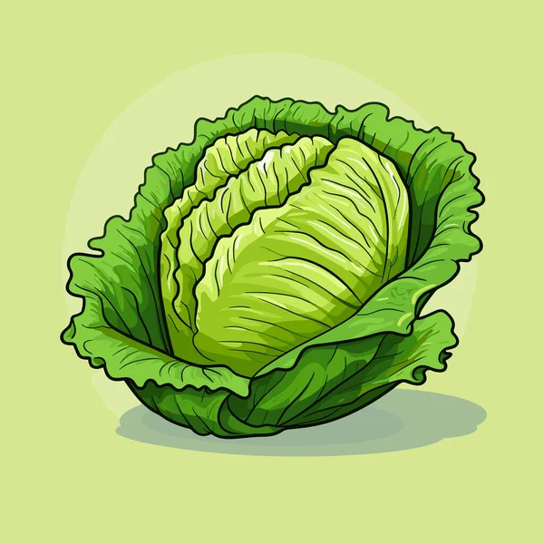 Zeichnung Eines Kopfes Salat Auf Grünem Hintergrund — Stockvektor