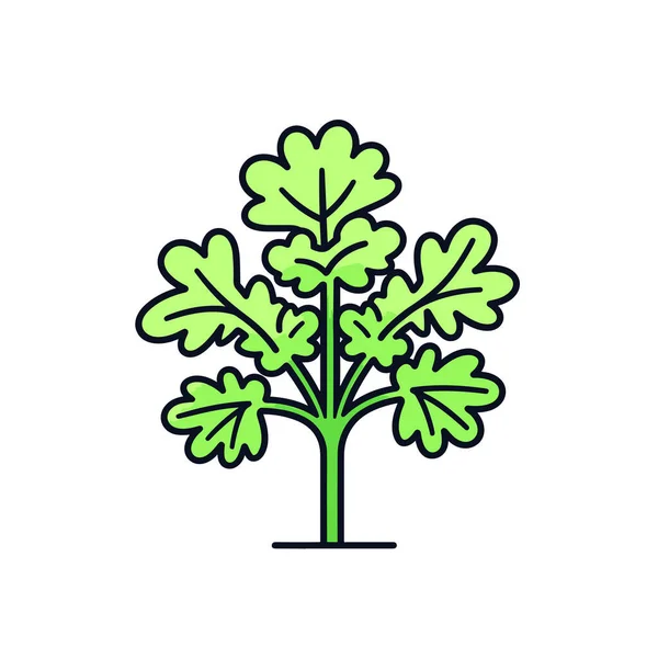 Zelená Rostlina Listy Bílém Pozadí — Stockový vektor