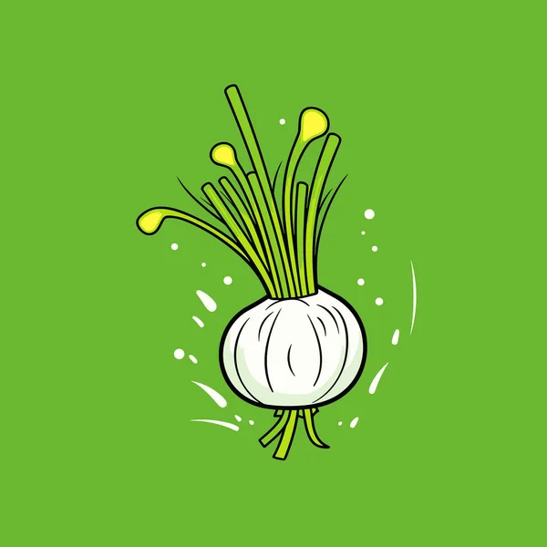 Eine Zwiebel Auf Grünem Hintergrund — Stockvektor