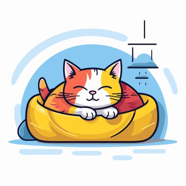 Bir kedi fasulye çuvalında uyuyor.