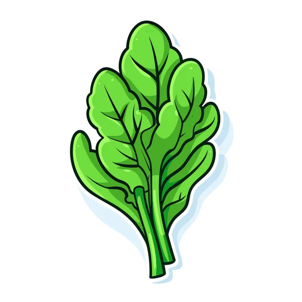 Зеленый Листовой Овощ Белом Фоне — стоковый вектор