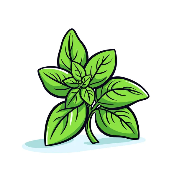 Beyaz arka planda bir fesleğen filizi