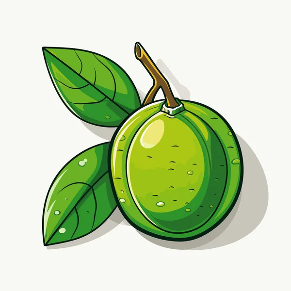 白地に葉を持つ緑色の果実 — ストックベクタ