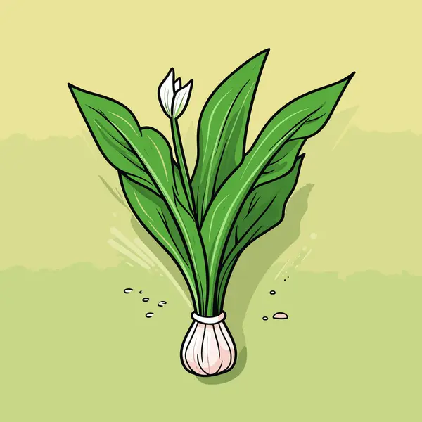 Una Pianta Verde Con Dentro Fiore Bianco — Vettoriale Stock