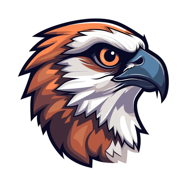 Ein Adlerkopf Mit Orangen Und Weißen Federn — Stockvektor