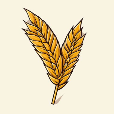 Beyaz arkaplanda bir yaprak çizimi