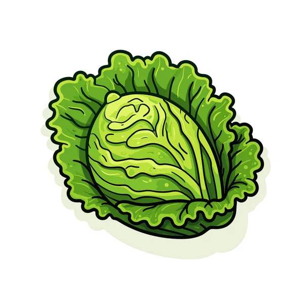 Zöld Saláta Fehér Alapon — Stock Vector