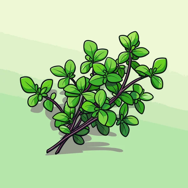 Ein Zweig Grüner Blätter Auf Grünem Hintergrund — Stockvektor